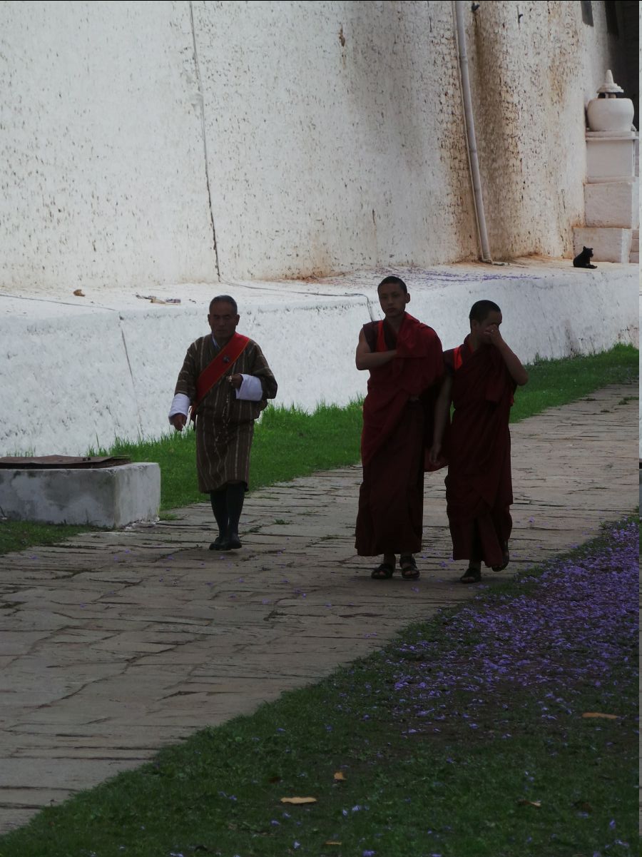 Punakha Dzong42